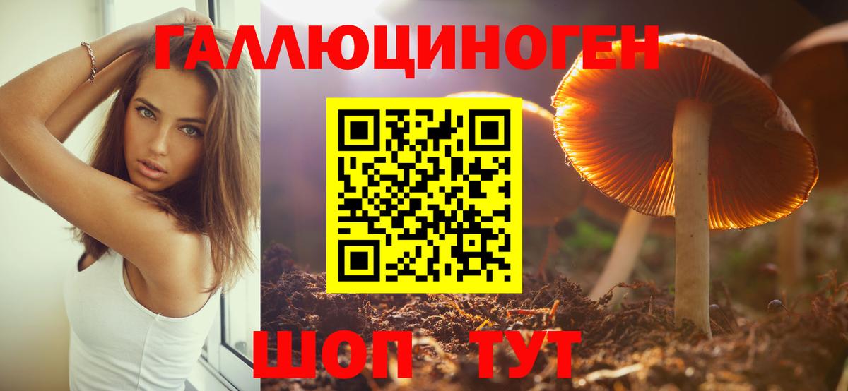 Галлюциногенные грибы Psilocybine cubensis  Псилоцибиновые грибы мицелий  Вход с VPN  закладка  Лиски 